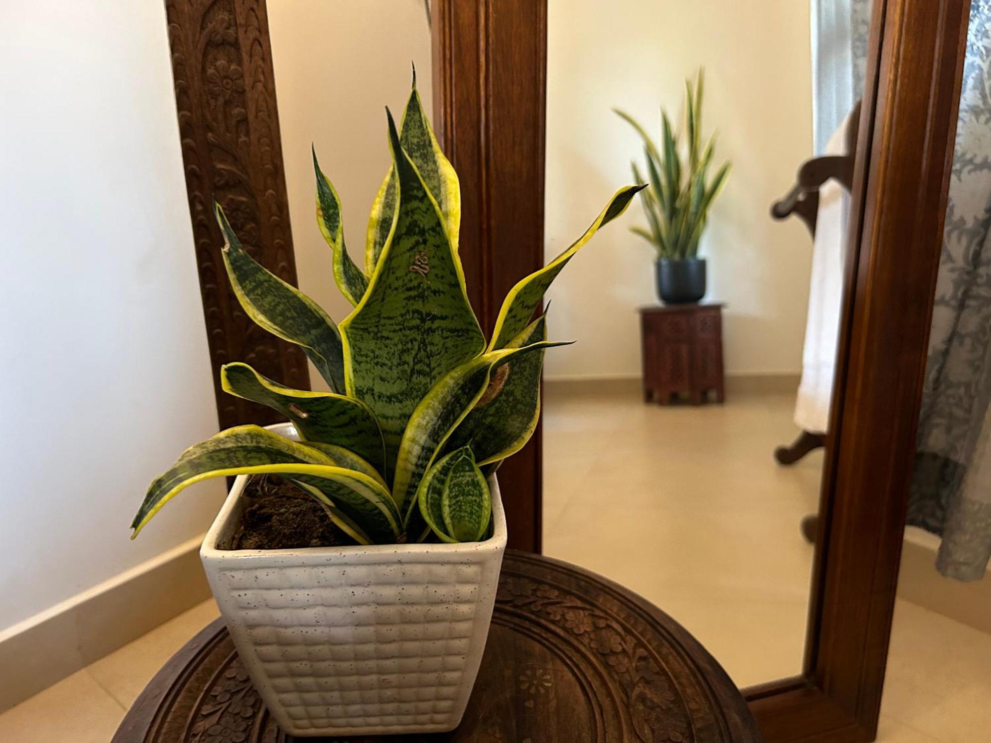 Santa Maria, Trivandrum - An Airport Boutique By The Sea Bed & Breakfast Thiruvananthapuram Ngoại thất bức ảnh