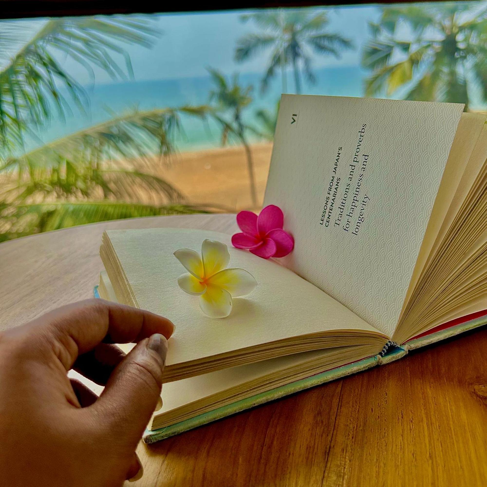 Santa Maria, Trivandrum - An Airport Boutique By The Sea Bed & Breakfast Thiruvananthapuram Ngoại thất bức ảnh