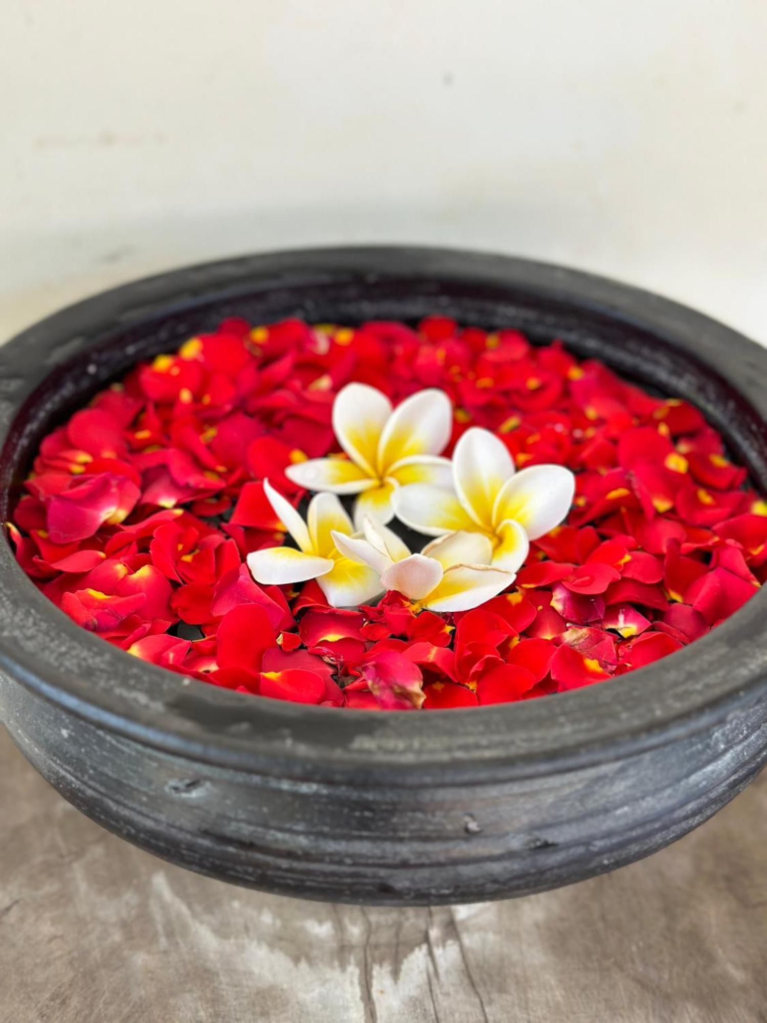 Santa Maria, Trivandrum - An Airport Boutique By The Sea Bed & Breakfast Thiruvananthapuram Ngoại thất bức ảnh
