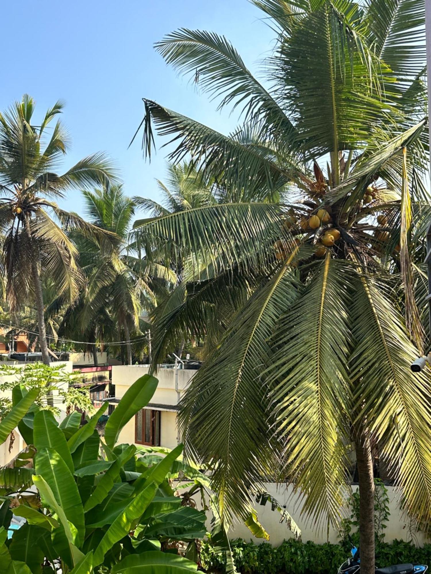 Santa Maria, Trivandrum - An Airport Boutique By The Sea Bed & Breakfast Thiruvananthapuram Ngoại thất bức ảnh
