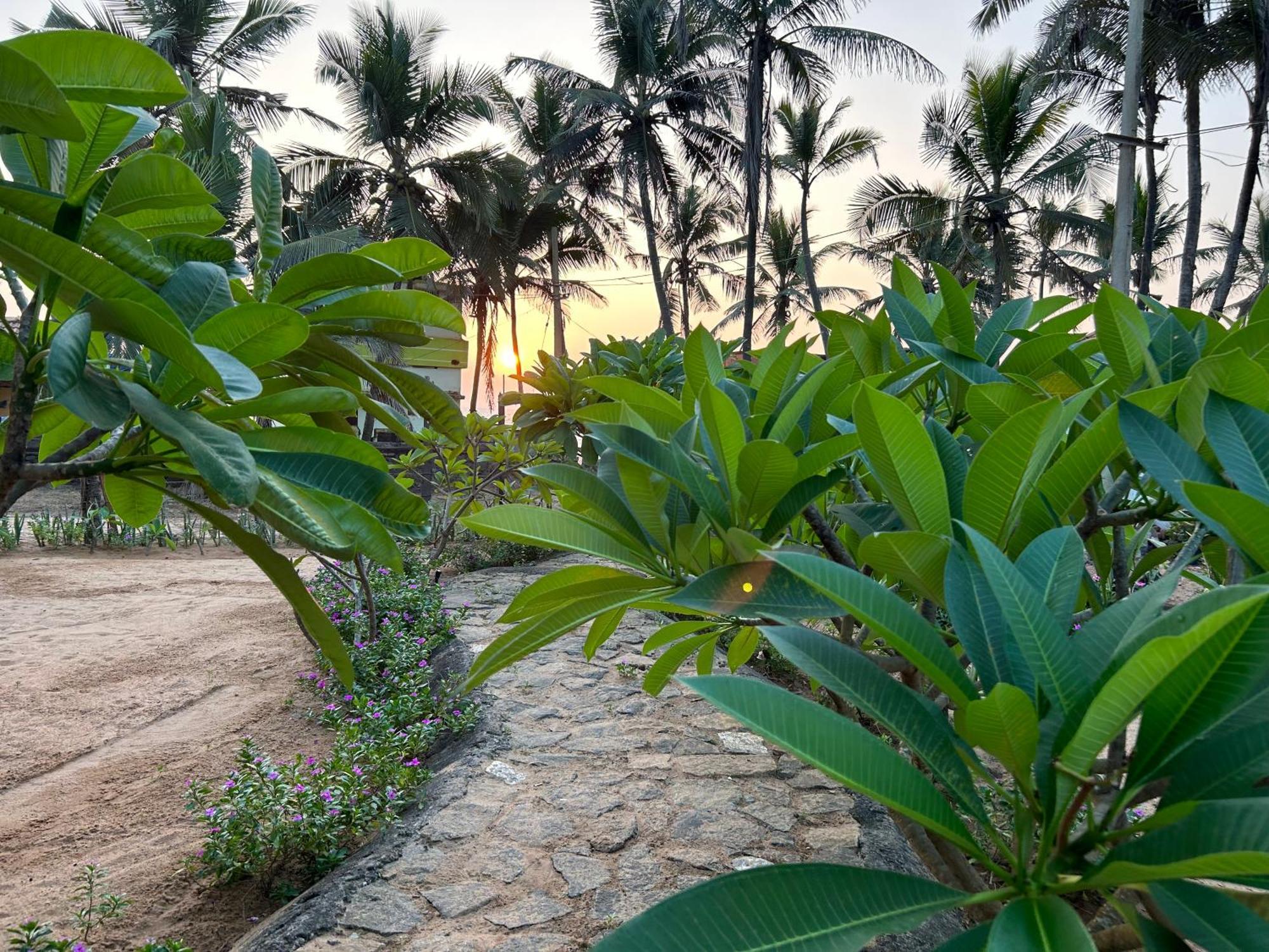 Santa Maria, Trivandrum - An Airport Boutique By The Sea Bed & Breakfast Thiruvananthapuram Ngoại thất bức ảnh