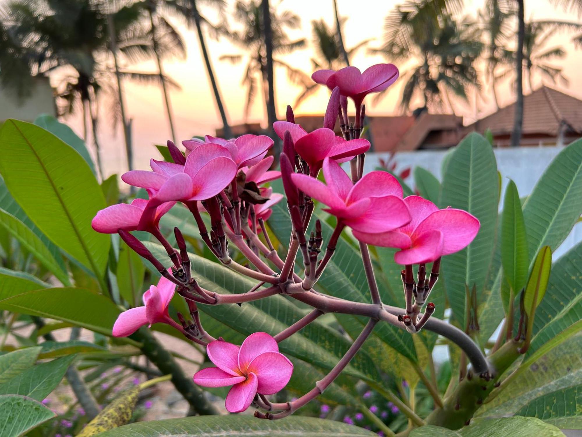 Santa Maria, Trivandrum - An Airport Boutique By The Sea Bed & Breakfast Thiruvananthapuram Ngoại thất bức ảnh